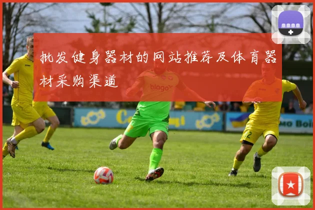 批发健身器材的网站推荐及体育器材采购渠道