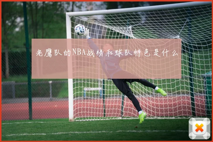 老鹰队的NBA战绩和球队特色是什么