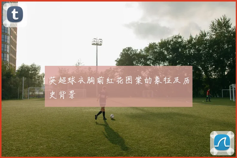 英超球衣胸前红花图案的象征及历史背景