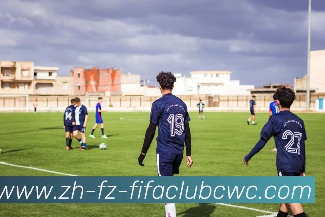 世界杯平台平台生态图